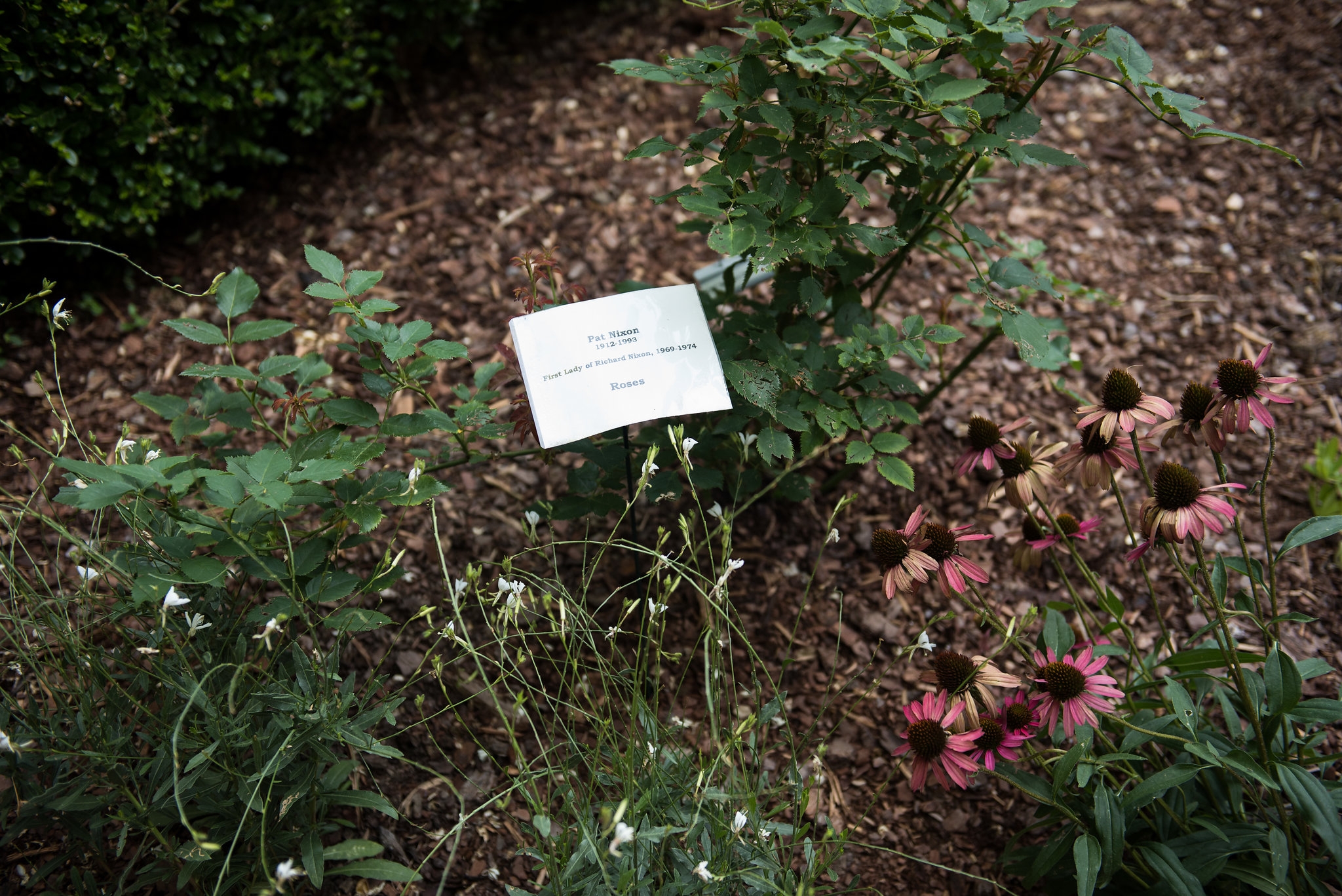 Clinton House Museum Bloom 2018 (57)