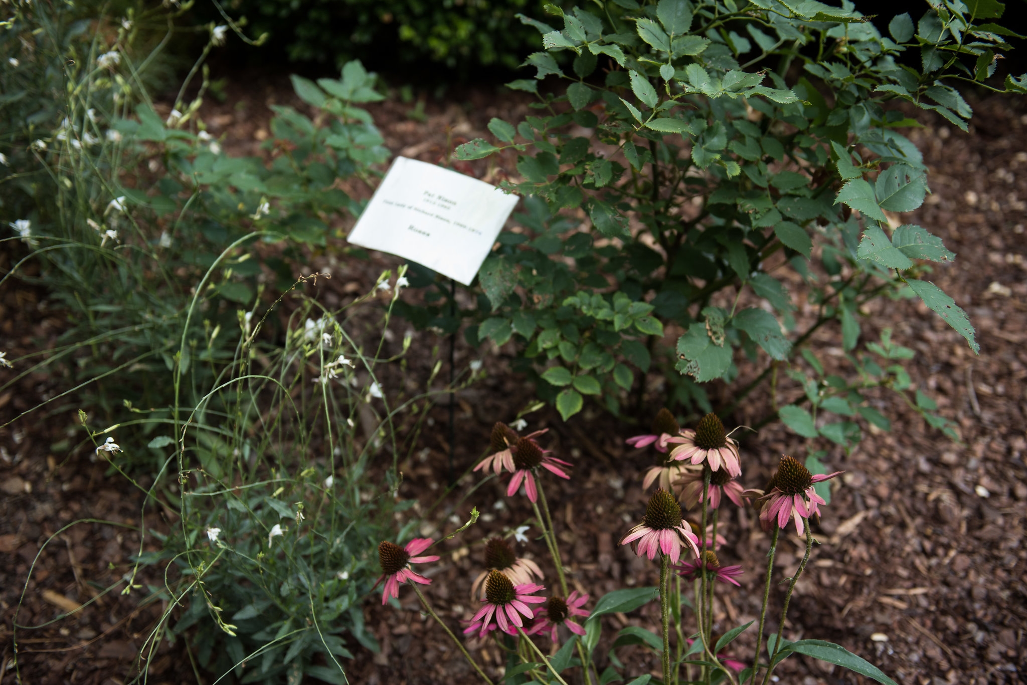 Clinton House Museum Bloom 2018 (58)