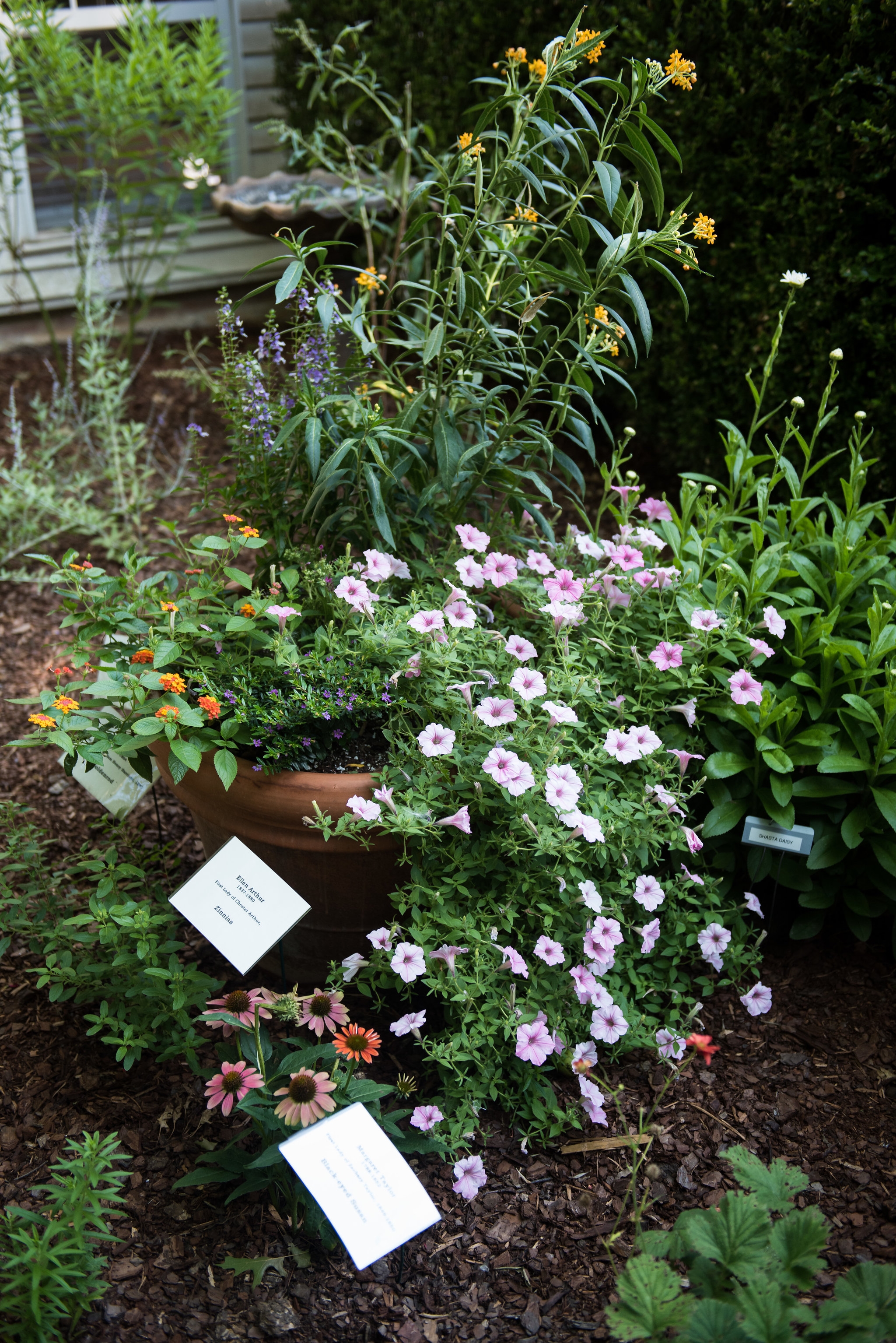 Clinton House Museum Bloom 2018 (59)