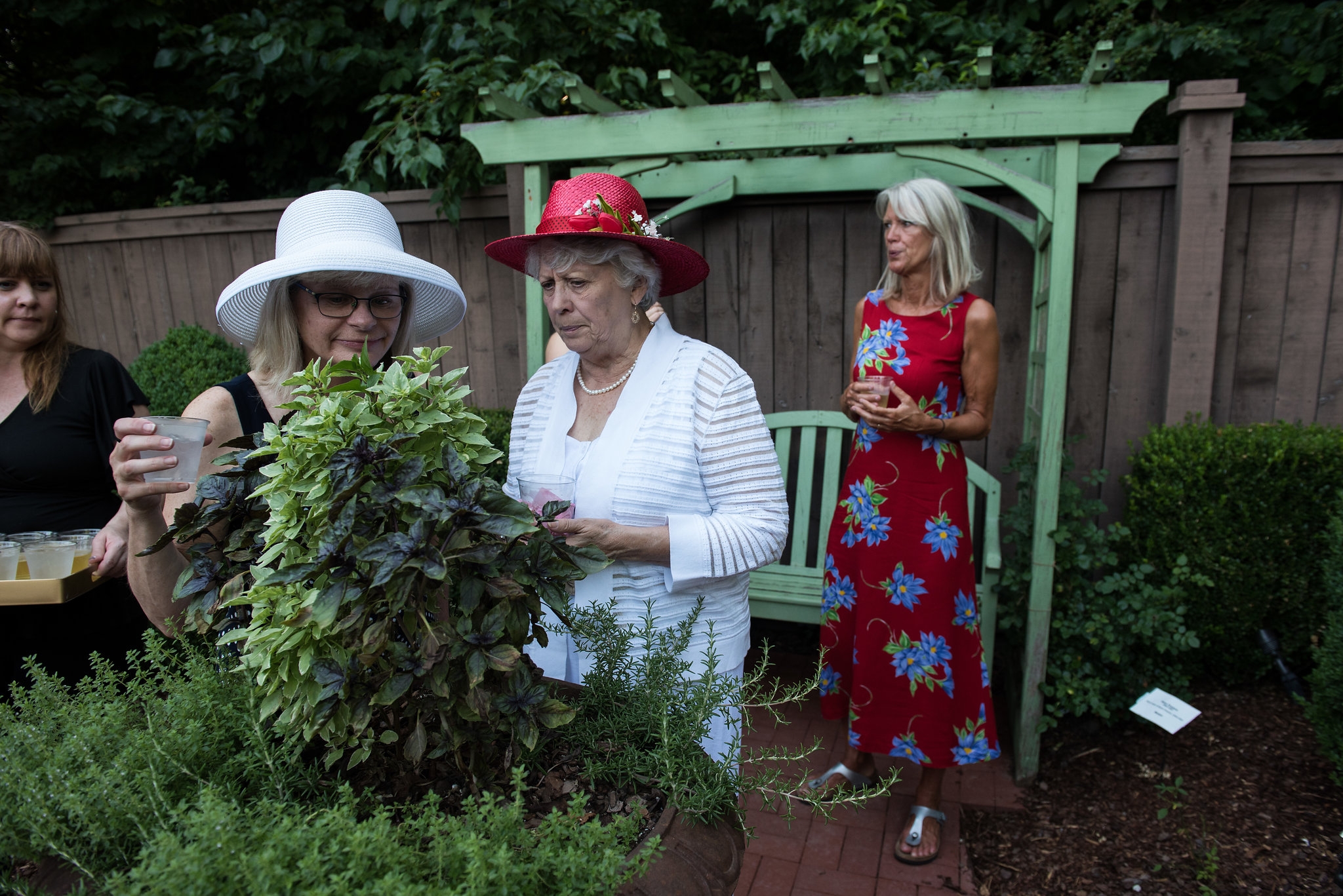 Clinton House Museum Bloom 2018 (96)